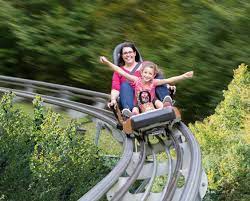 The eifelpark is a wildlife and leisure park in gondorf near bitburg in the eifel mountains of germany. Eifelpark Wild Und Freizeitpark Eifel De