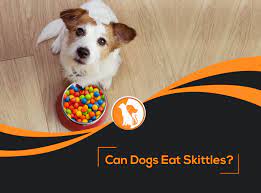 Can Dogs Eat Skittles