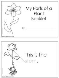 Parts Of A Plant Booklet Free Download Kindergarten Science Preschool Science First Grade Science