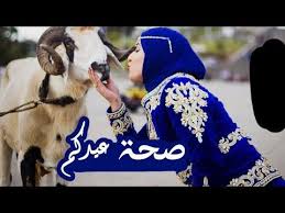 تهنئة بمناسبة عيد الاضحى المبارك youtube animals