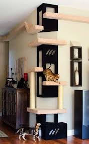 15 Ideas Cats House Ideas Catwalks In 2020 Cat Room Diy Diy Cat Tree Cat Furniture Diy