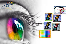 Image result for Color Blindness