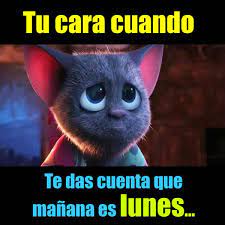 Frases De Lunes Memes De Enfermera Feliz Lunes Gracioso Citas De Enfermera