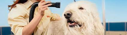 Their grooming journey will vary based on your dog's breed. Grooming Petco