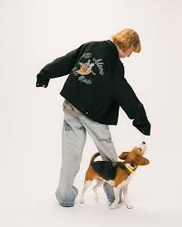 Image result for Neorautanenia ficifolia