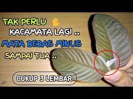 Menakjubkan Cara Menyembuhkan Mata Minus Secara Alami Menggunakan Bahan Alami Sehat Itu Murah Youtube Obat Alami Kesehatan Pria Kesehatan Alternatif