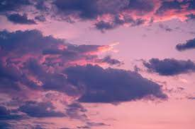 Check spelling or type a new query. 100 Purple Sky Pictures Download Free Images On Unsplash