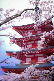 10 kul program amit nem hagyhatsz ki marciusban cherry blossom japan japan photography aesthetic japan