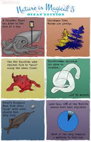 Nature Is Magical And These Illustrations Prove It In 2021 Animal Facts Weird Animals Cute Little Kittens