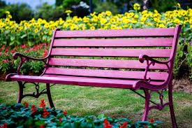 Maybe you would like to learn more about one of these? 147 Bright Red Chairs Beautiful Garden Photos Free Royalty Free Stock Photos From Dreamstime