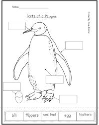 From Kindergarten Crayons Parts Of A Bird Great Worksheet Penguin Activities Kindergarten Science Penguins