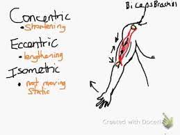 Concentric Eccentric Isometric Muscle Contraction Youtube Human Body Systems Muscle Contraction Eccentric Muscle Contraction