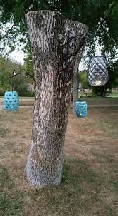 Decorating A Dead Tree Stump Lanterns Choose To Decorate That Old Dead Tree Carved Tree Stump Tree Stump Tree Trunk