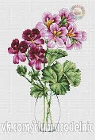 Gallery Ru Foto 1 Flores Denise10 Kanavice Cicek Kanaviceler