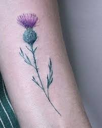 Check spelling or type a new query. Thistle Celtic Tattoo For Women Thistle Tattoo Wrist Thistle Tattoo