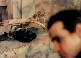 Rick Lopez Eventography