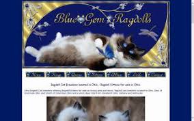 They are terrified of collars! Ohio Ragdoll Cat Breeders Directory O Kitty
