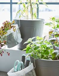 Plants In Planting Bags Are Placed In Knodd Bins To Create An Indoor Garden Plant Bags Indoor Garden Plants