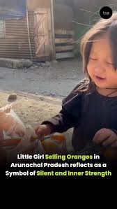 🥺♥️A simple yet deeply moving scene from the remote highways of Anjaw district in Arunachal Pradesh has captured the attention of social media users across the country. A little girl, standing quietly ...