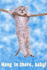 Create Meme Cat Hanging On A Rope Picture Poster Cat Hang On Kitty Hang In There Pictures Meme Arsenal Com