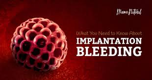 The 20 th of may. Implantation Bleeding What It Is And What To Look For Photos
