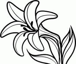 Black And White Lily Clipart 