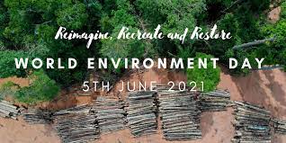 These days trees are planted everywhere, and many works related to environment are done. Pcoit9iipsvyum
