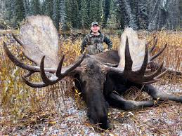 World-Class Trophy Moose Hunt in the Yukon - Worldwide Trophy Adventures