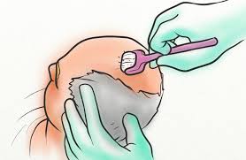 Magnesium oil for hair loss. Magnesium Oil For Hair Loss Does It Help Hairguard