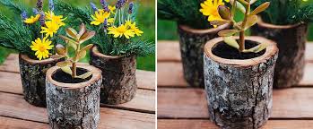 I made a wood log planter and i'm going to show you how i did it. 10 Diy Tiny Planters That Bring Green Goodness To Your Office