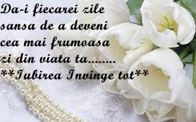 Poze Cu Mesaje Frumoase Poze Rase De Pisici Apartament Si Casa Imagini Cu Animale De Companie Truth Quotes Meeting New People Wedding Sneaker