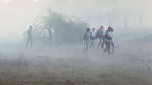 In 1970, roy andersson released his first feature film. A Swedish Love Story Curzon Artificial Eye