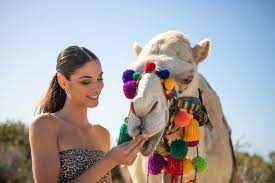 Will camel sleep while standing? Camel Facts To Know Before Your Outback Cabo Safari Cabo Adventures