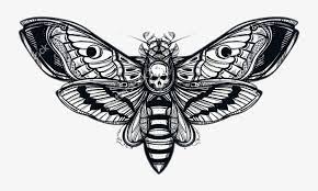 Download and use 900+ skull stock photos for free. Moth Skull Butterfly Tattoo Tattoos Scary Skull Moth Png Image Transparent Png Free Download On Seekpng
