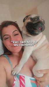 #Galeria #CapCut #f #foryoupage #pug