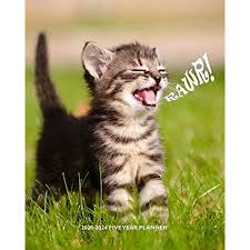 See more ideas about paint colors for home, home diy, home. Buy 2020 2024 Five Year Planner Rawr Little Kitten Is A Tiger Super Cute Furbaby Crazy Cat Lady 60 Month Calendar And Log Book Business Team 5 Year 2020 2021 2022 2023 2024 Calendar Paperback August 28 2019 Online In Kuwait 1689089865