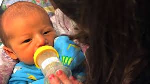 akiva-mordechai-schranz