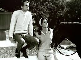 Silver Scenes - A Blog for Classic Film Lovers: The Horse in the Gray  Flannel Suit ( 1968 )