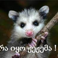 Прагляды 83 тыс.2 гады таму. Iumori Yvelas Unda Home Facebook