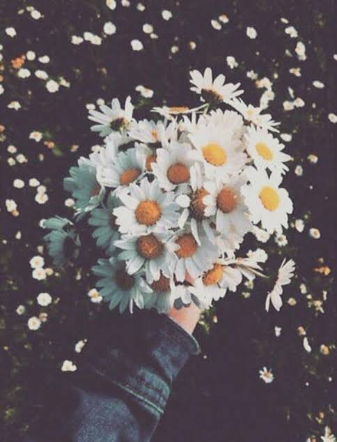 Penceredeki Kad�n 🌼