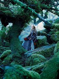 Whimsical Woodland Editorials Scenic Landscape Fashion Editorial Nature Scenic Landscape Forest Photography