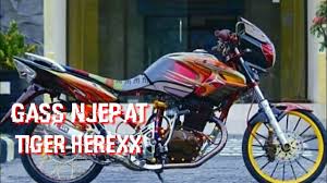 Honda tiger pece minimalis concept. Honda Tiger Herex Kalem Tp Sadis Youtube