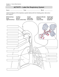 Pin On Anatomy