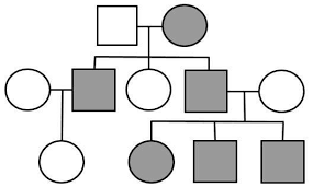 This Worksheet Gives Students A Chance To Practice Identifying Genotypes On Pedigree Charts The Pedigrees Focu Pedigree Chart Biology Resources Biology Corner