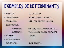 Les Categories Gramaticals Llengua Catalana Ortografia Gramatica