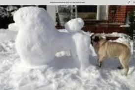 Täglich neue facebook bilderwitze auf debeste.de. Schneemann Bauen 2020 Und 2021