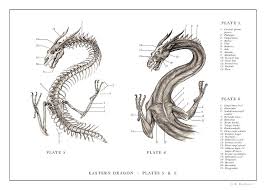 Eastern Dragon Print 5 6 By Eb Hudspeth Eastern Dragon Dragon Print Art