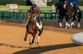 Ada, ca ab 1953 lead free compliant. Preakness Analysis Baffert Pair Looks Vulnerable