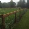 Postmaster steel fence post vs traditional wood post. 1