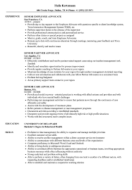 Senior Advocate Resume Samples Velvet Jobs